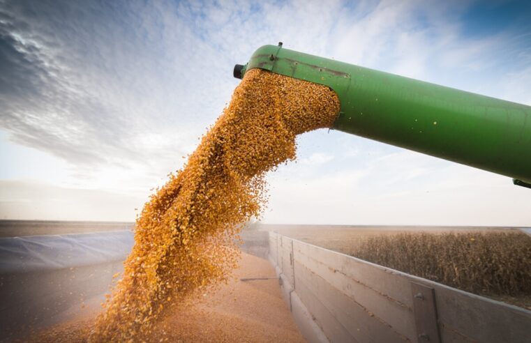 Preços do boi, milho e soja batem recordes; veja notícias desta quarta