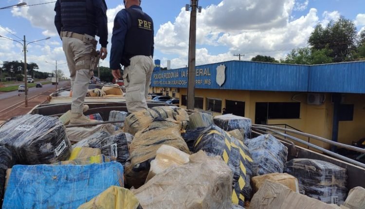 Carga com 29,2 toneladas de maconha é a maior apreensão da história da PRF