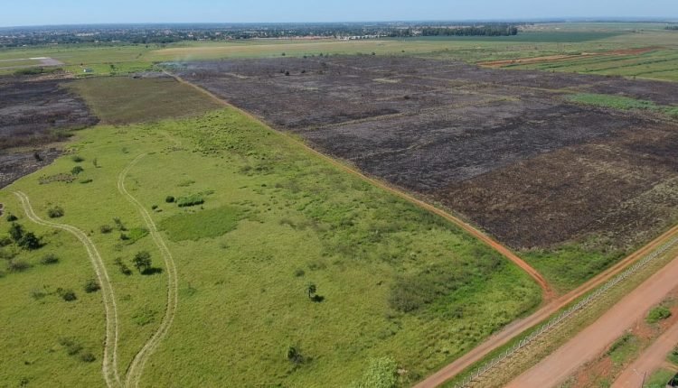 Incêndio de dois dias consumiu mais de 40 hectares perto do Aeroporto de Campo Grande