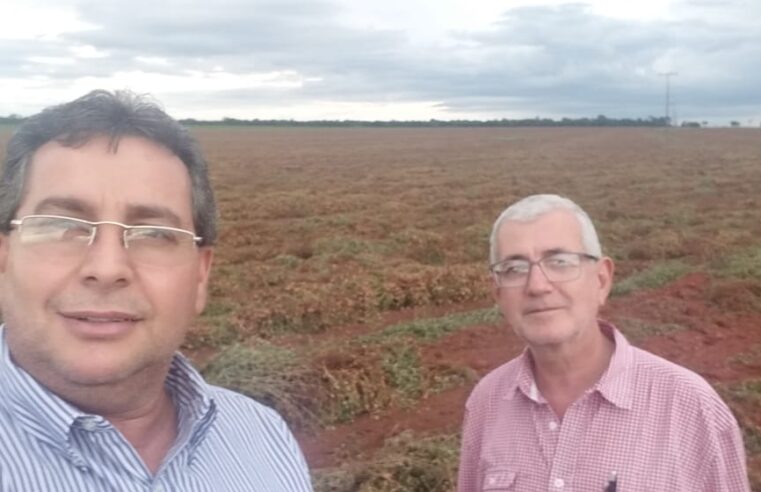 Em visita a lavoura de amendoim vice-prefeito e secretario de desenvolvimento econômico ressaltam a colheita: ”Já é realidade”