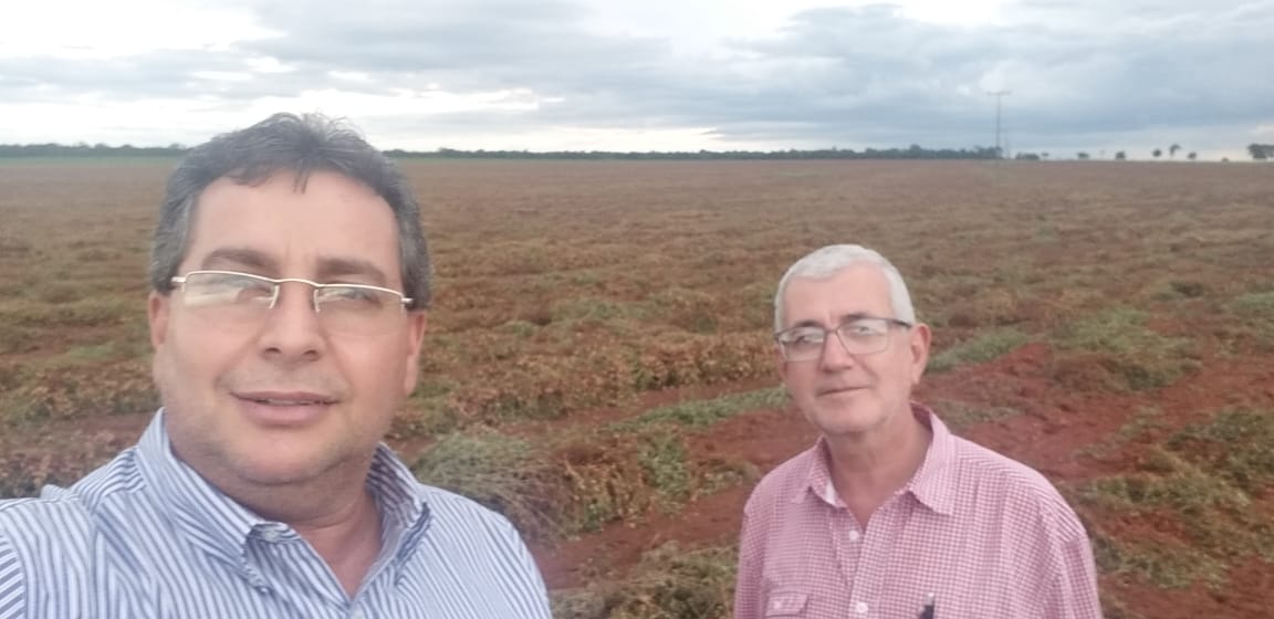 Em visita a lavoura de amendoim vice-prefeito e secretario de desenvolvimento econômico ressaltam a colheita: ”Já é realidade”