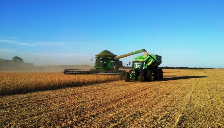 Cassilândia tem a melhor produtividade de soja do Estado, diz Famasul/Aprosoja