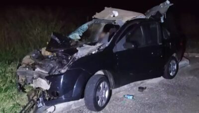 Homem morre após carro bater em boi na BR-060