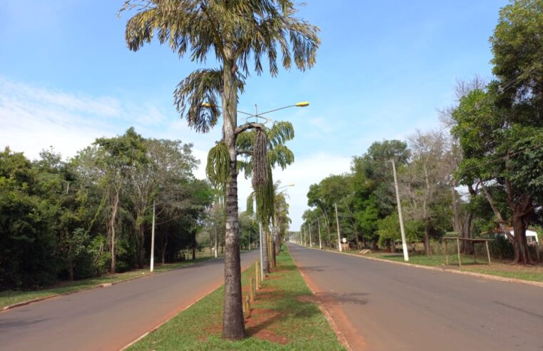 Avenida da Saudade um dos pontos de caminhadas e pedaladas em Cassilândia