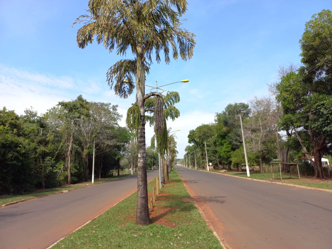 Avenida da Saudade um dos pontos de caminhadas e pedaladas em Cassilândia