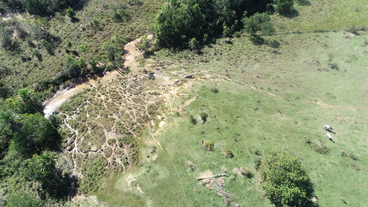 Polícia Militar Ambiental em Cassilândia autua paulista em R$ 5 mil por degradação de leito e matas ciliares de córrego em sua propriedade em Inocência