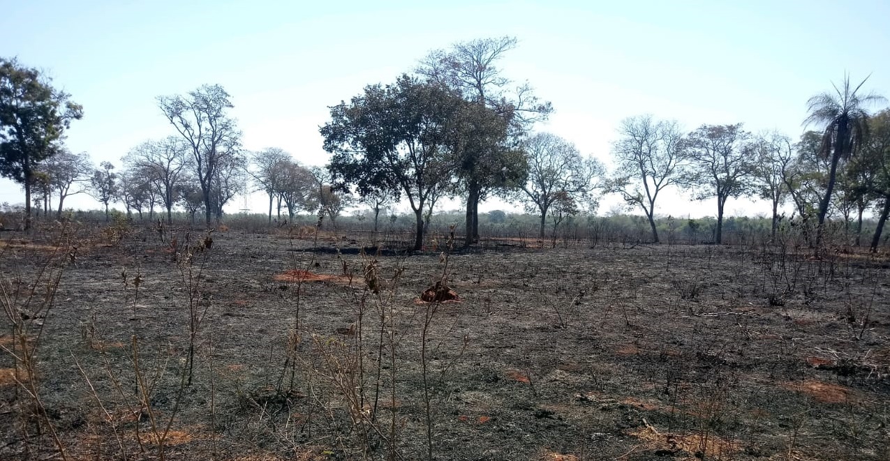 Polícia Militar Ambiental de Três Lagoas autua sitiante em R$ 17 mil por provocar incêndio em sua propriedade e atingir propriedade vizinha