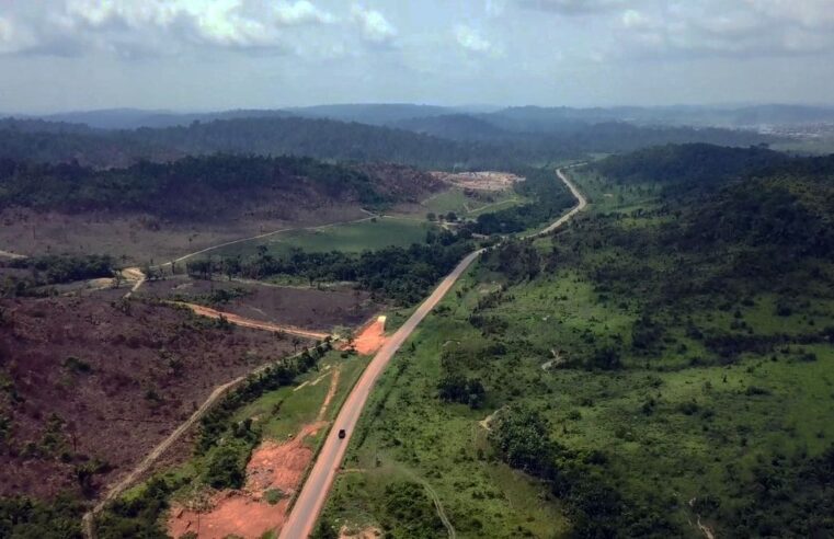 Governo leiloa rodovia que liga Mato Grosso à Hidrovia do Tapajós