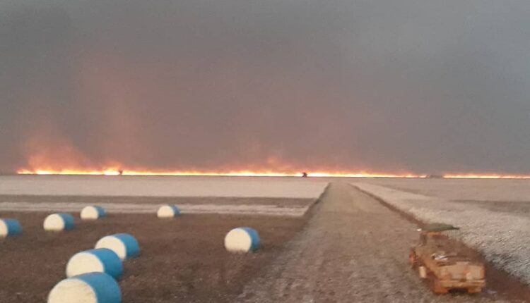 Incêndio de grandes proporções atinge o Parque Nacional das Emas