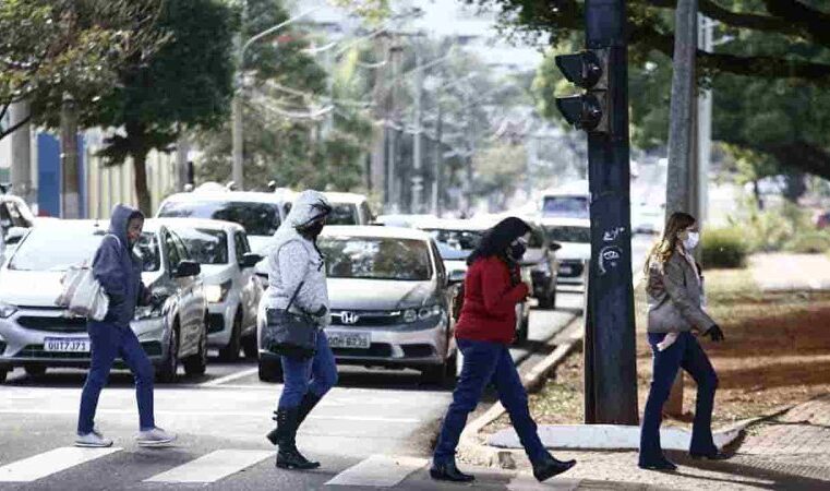 MS registra geada em 26 cidades e tem sensação térmica de -6ºC em dia mais frio do ano