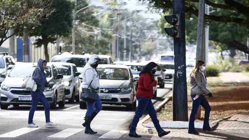 MS registra geada em 26 cidades e tem sensação térmica de -6ºC em dia mais frio do ano