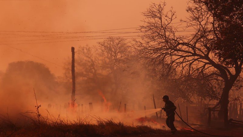 Incêndios florestais colocam seis municípios de MS em estado de emergência