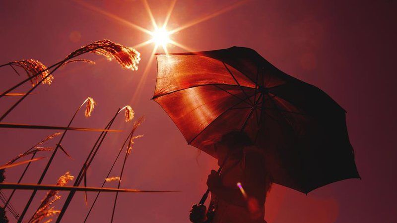 Prepare-se para o calor: setembro terá temperaturas acima da média em MS