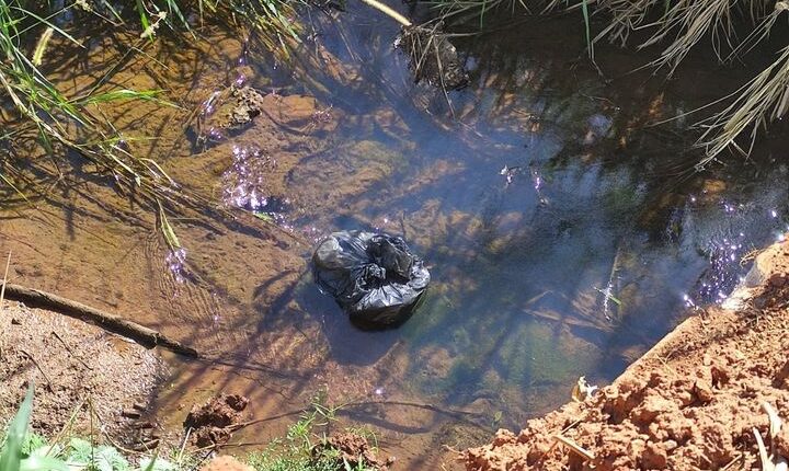 Goiás: matou o avô e jogou cabeça no córrego