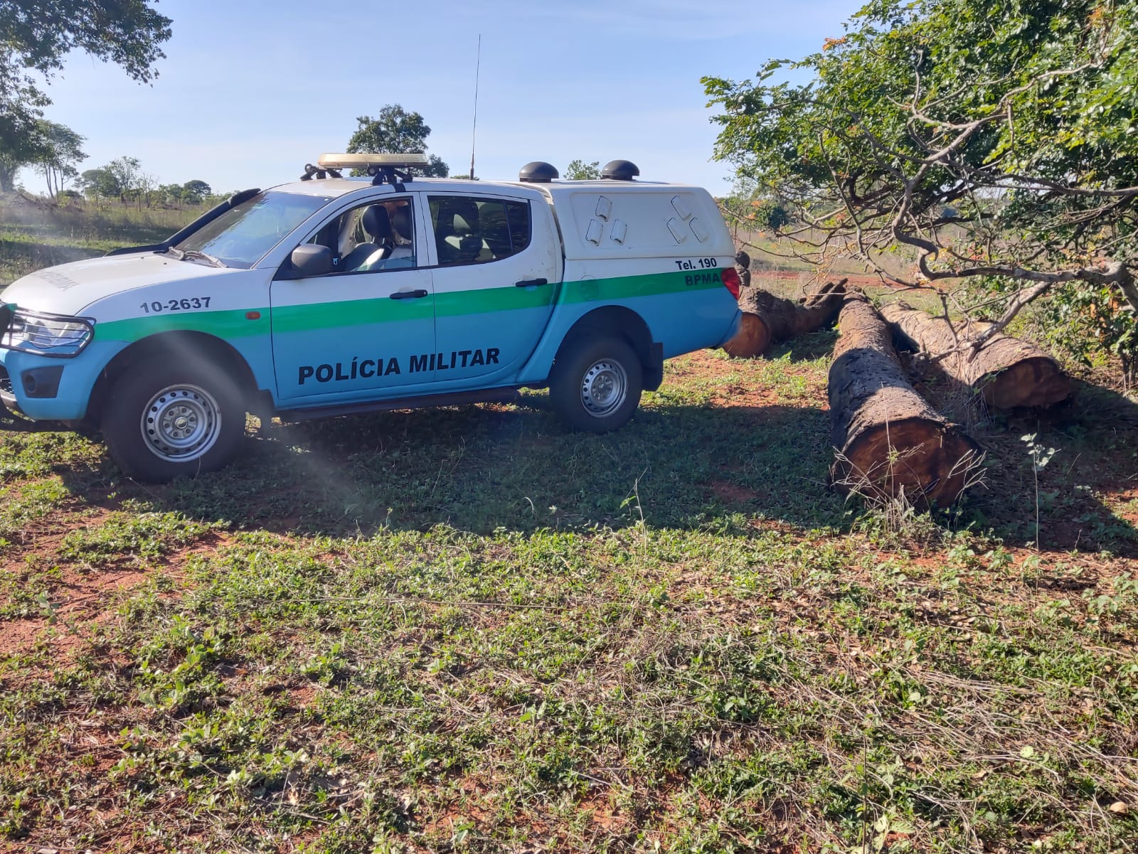 Polícia Ambiental de Cassilândia atua infrator em R$ 21 mil por exploração de madeira em área de floresta protegida de reserva legal e apreende 40 m³ de toras, trator e motosserra