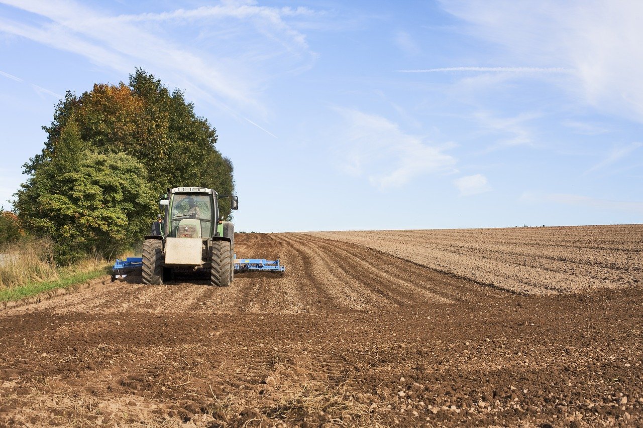 Produção Agropecuária de R$ 1,249 trilhão pode ser a maior do agronegócio brasileiro