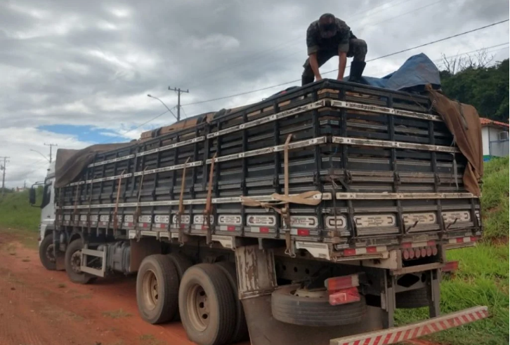 Polícia Militar Ambiental de Cassilândia apreende carreta com carga de madeira irregular e autua empresa rondoniense em R$ 6,6 mil