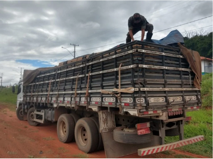 Polícia Militar Ambiental de Cassilândia apreende carreta com carga de madeira irregular e autua empresa rondoniense em R$ 6,6 mil