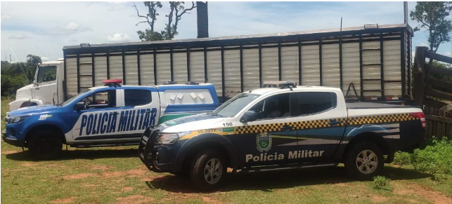 Ação conjunta entre Polícia Militar do MS e GO recupera gado furtado na região de São João do Aporé, em Paranaíba