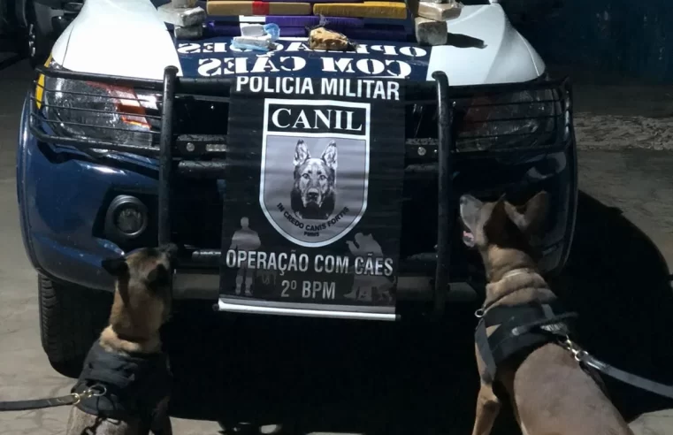 Polícia Militar realiza apreensão de drogas e prende traficante em Água Clara