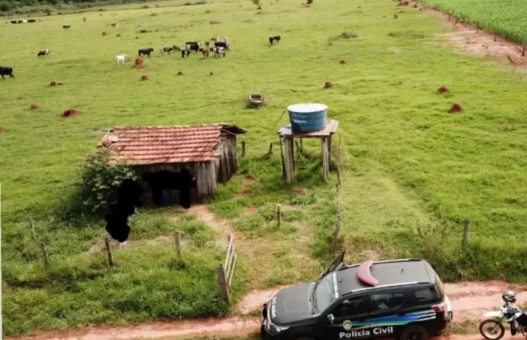 Gerente furta 15 cabeças de gado de fazenda vizinha em Mato Grosso do Sul