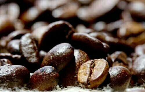 INDICADORES: preço do café arábica cai nesta segunda-feira (20)