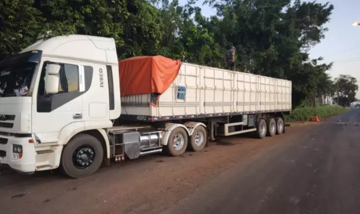 Madeireira de Rondônia é autuada em Cassilândia por carga ilegal de madeira