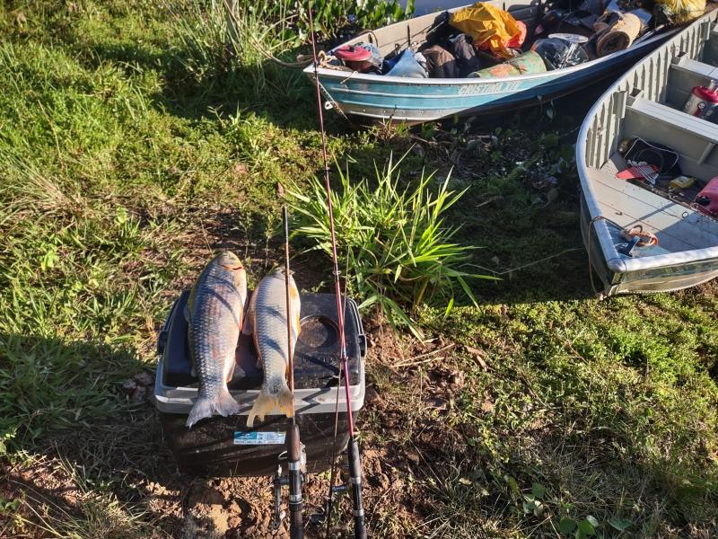 Polícia Militar Ambiental de Cassilândia autua dois pescadores por pesca ilegal e apreende pescado e petrechos de pesca