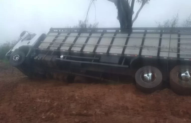 Caminhão carregado com bois cai em vala e moradores reivindicam melhorias em estrada de MS