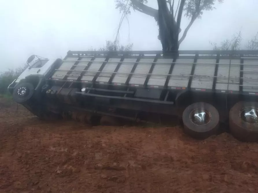 Caminhão carregado com bois cai em vala e moradores reivindicam melhorias em estrada de MS