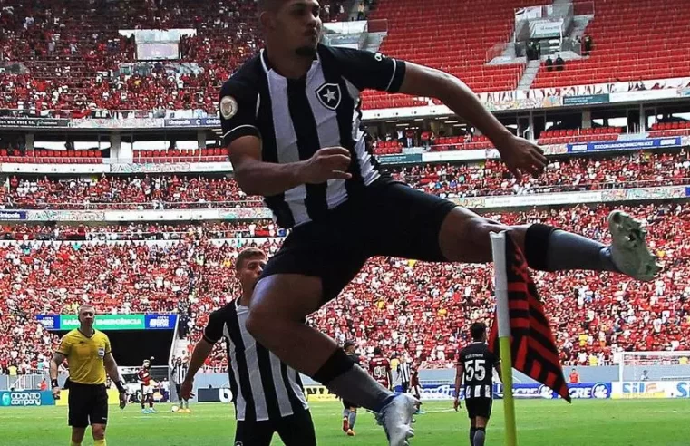 Botafogo quer a vitória hoje, para chegar mais perto do troféu de campeão Brasileiro