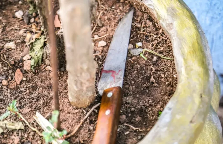 Homem é assassinado a facadas no pescoço e corpo encontrado no meio da rua