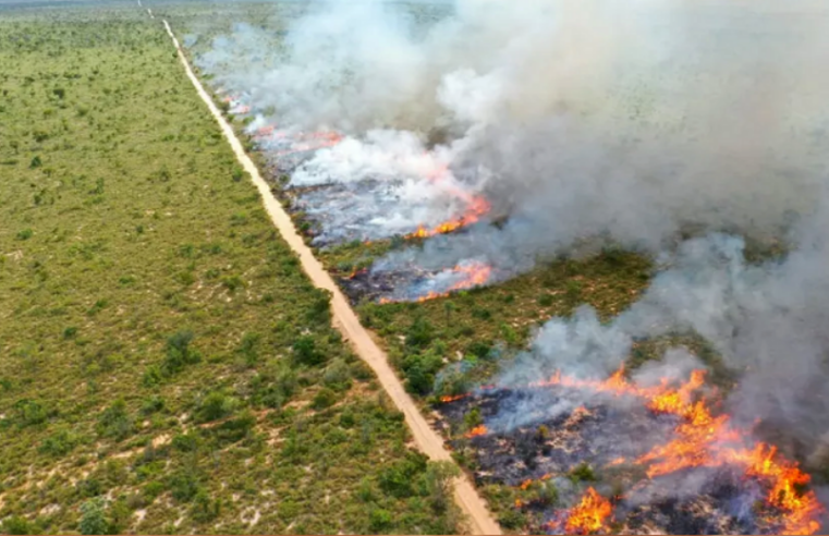 Portaria proibe“Queima controlada” até o final do ano em Mato Grosso do Sul