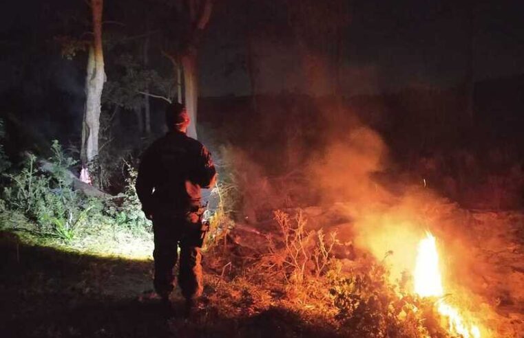 Homem é multado em R$ 1 mil por atear fogo em terreno baldio em MS