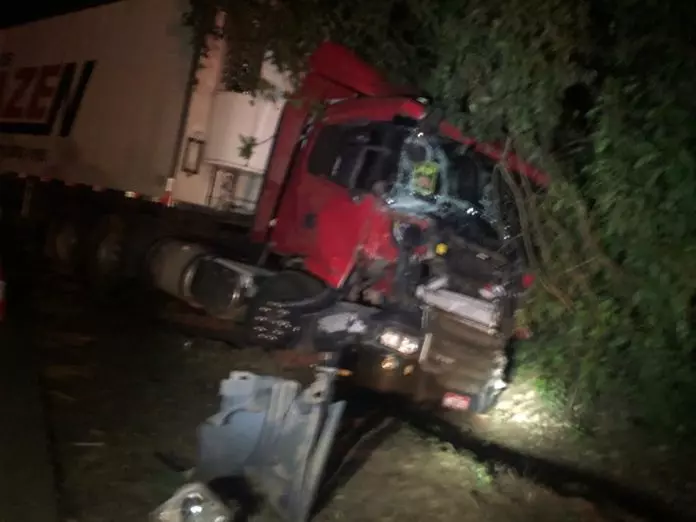 Caminhoneiro vai desviar de capivara na pista e provoca acidente com carro na BR-163