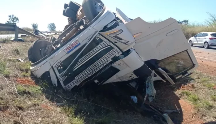 Acidente mata caminhoneiro e deixa bois espalhados na pista da BR-060 em GO