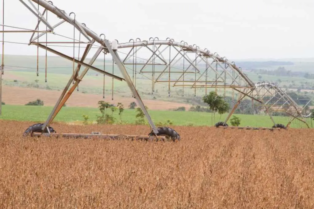 Governo envia PL que abre crédito suplementar de R$ 2,5 mi para a Agricultura