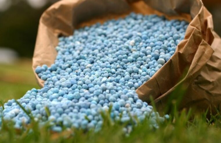 Brasil começa a normalizar a entrega de fertilizantes