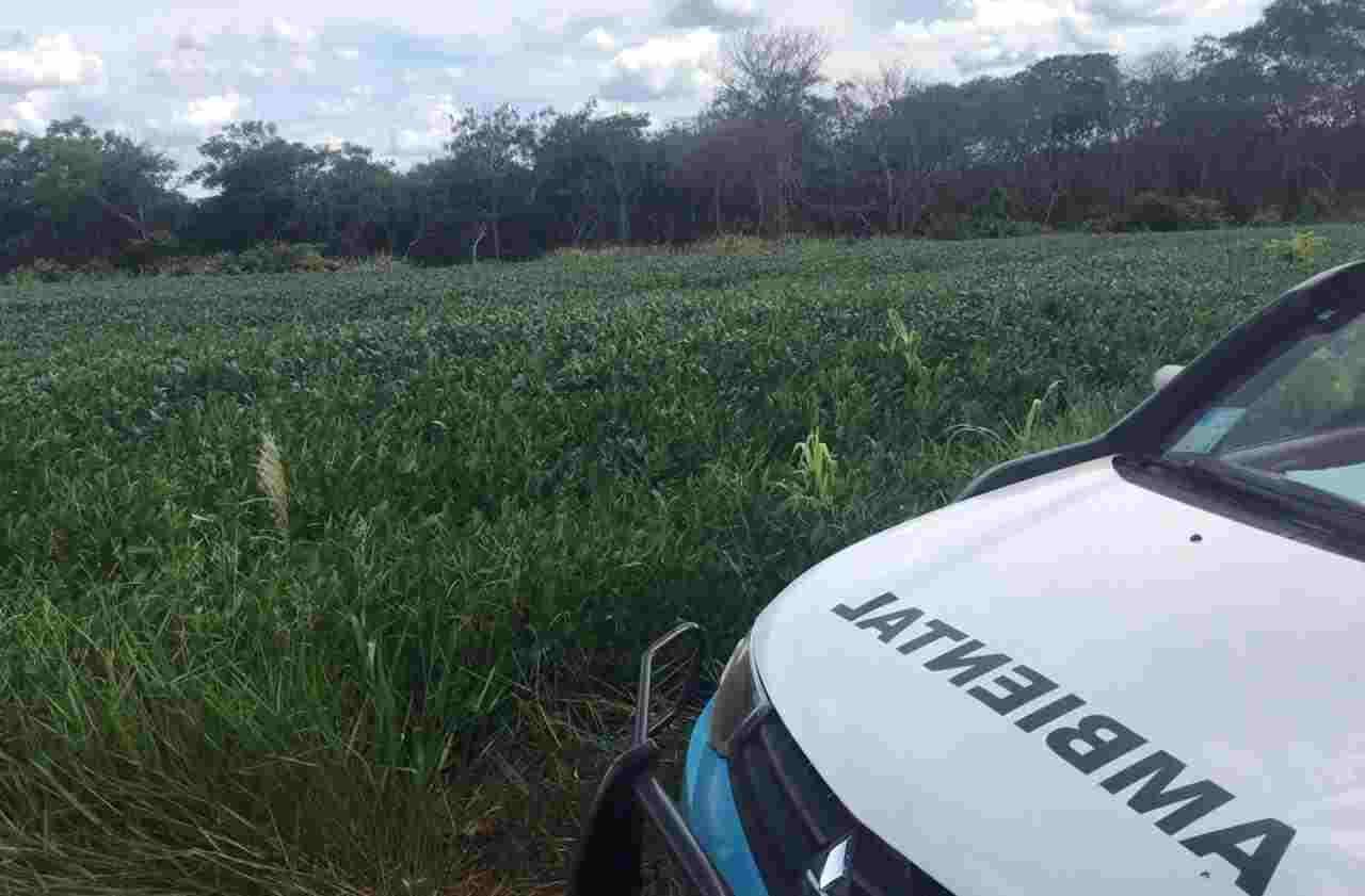 PMA e Polícia Civil de Cassilândia capturam foragido da justiça em propriedade rural