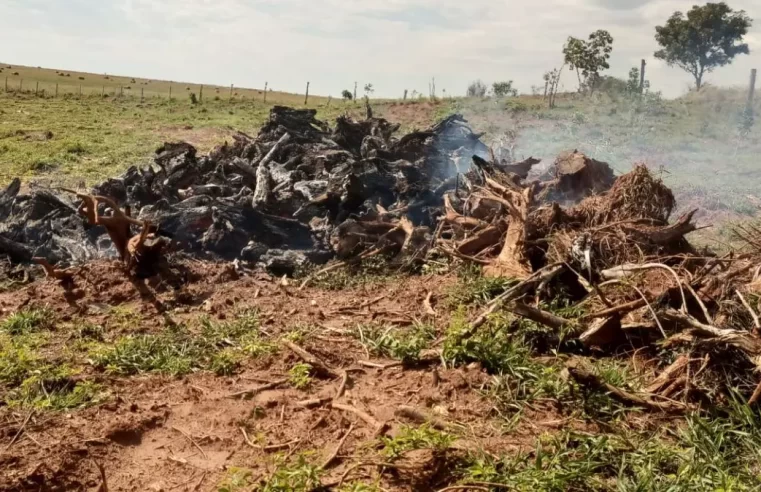 Polícia autua proprietário rural por incêndio em leiras durante operação