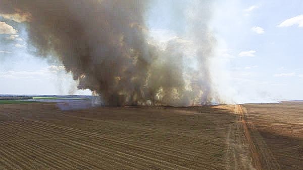 Incêndio destrói mais de 500 hectares de área plantada na zona rural de Costa Rica