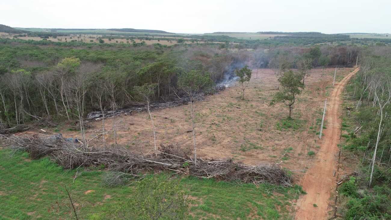 Proprietário rural é autuado em R$ 6 mil por incendiar restos de vegetação em leiras