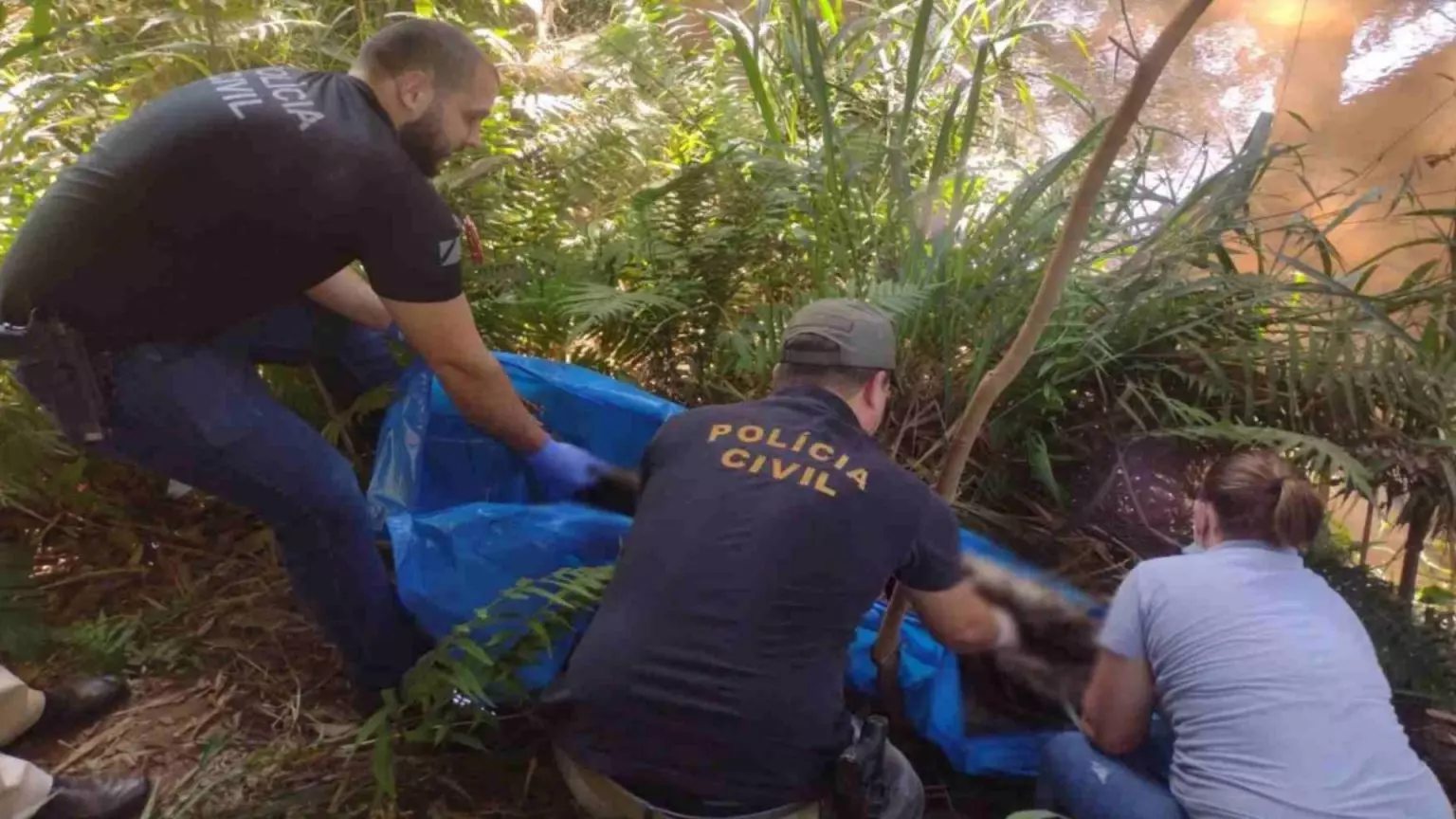 Mato Grosso do Sul tem 17 pessoas em isolamento devido à varíola dos macacos