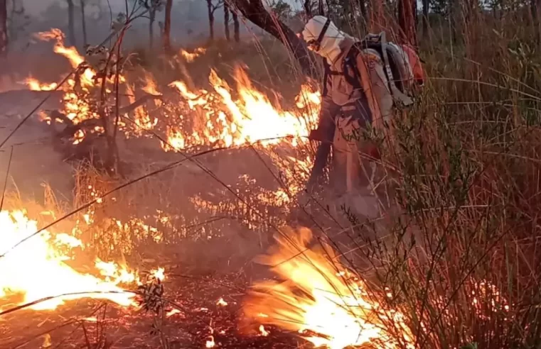 Pantanal tem queda de 81% nos focos de incêndio em 2022, aponta relatório