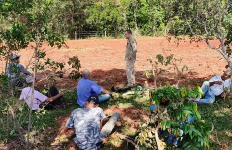 Adolescente desaparecido é encontrado desmaiado e desidratado em fazenda