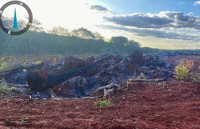 Proprietário rural é multado em R$ 22 mil por incendiar restos de vegetação em leiras