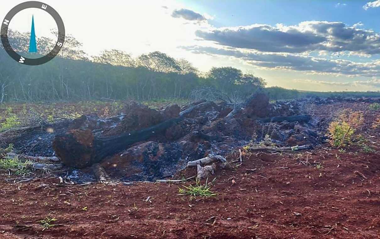 Proprietário rural é multado em R$ 22 mil por incendiar restos de vegetação em leiras