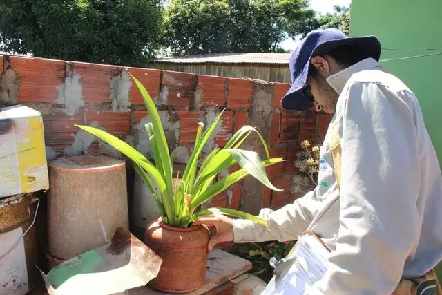 Estado registra 1,2 mil casos de dengue em uma semana