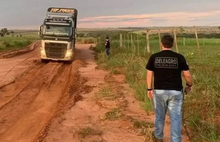 65 cabeças de gado furtadas em Cassilândia são recuperadas em cidade de GO