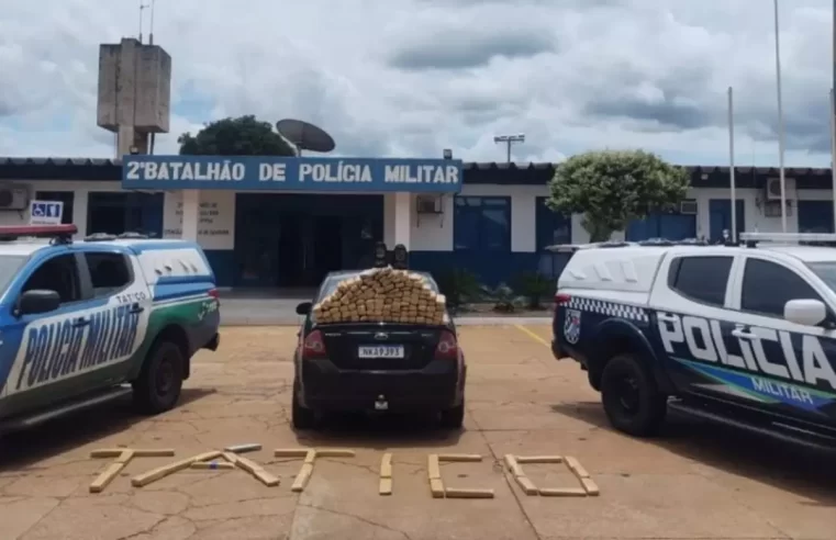 Polícia desmantelou associação criminosa e apreende 125 quilos de maconha